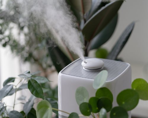purificateur d'air dans une maison avec des plantes vertes