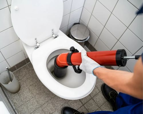 exemple de débouchages de toilettes