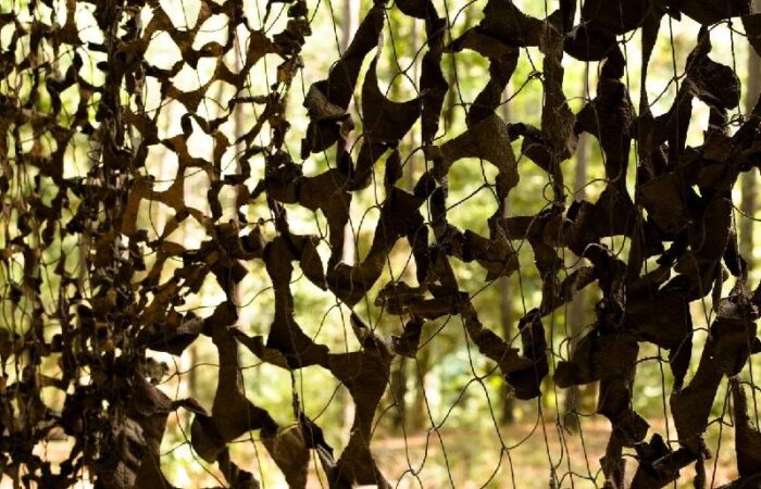 fielt de camouflage décoratif